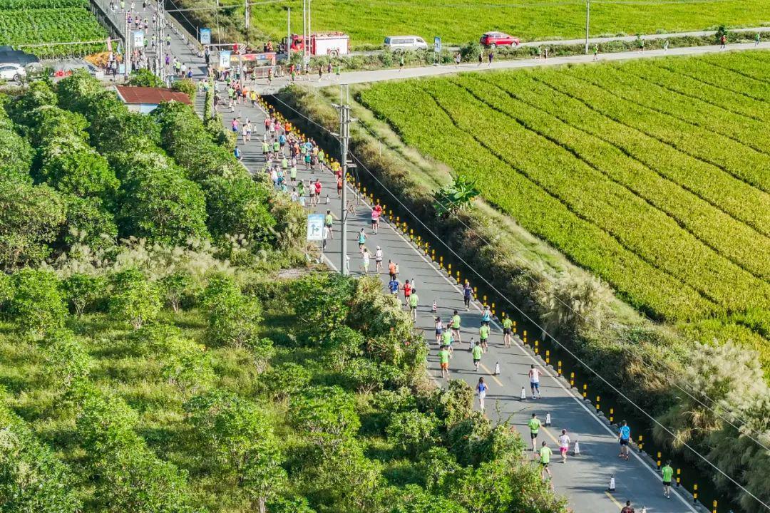 华体会app下载-报名开始！跑高明稻马，承包你一整年的牛肉